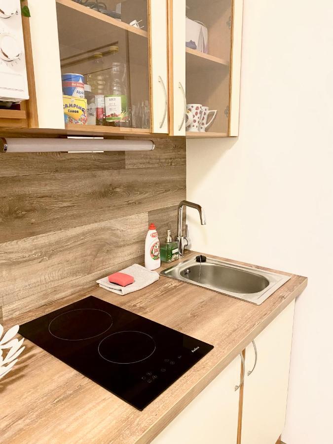 Apartmán Private - Park - Super Lokalita Olomouc